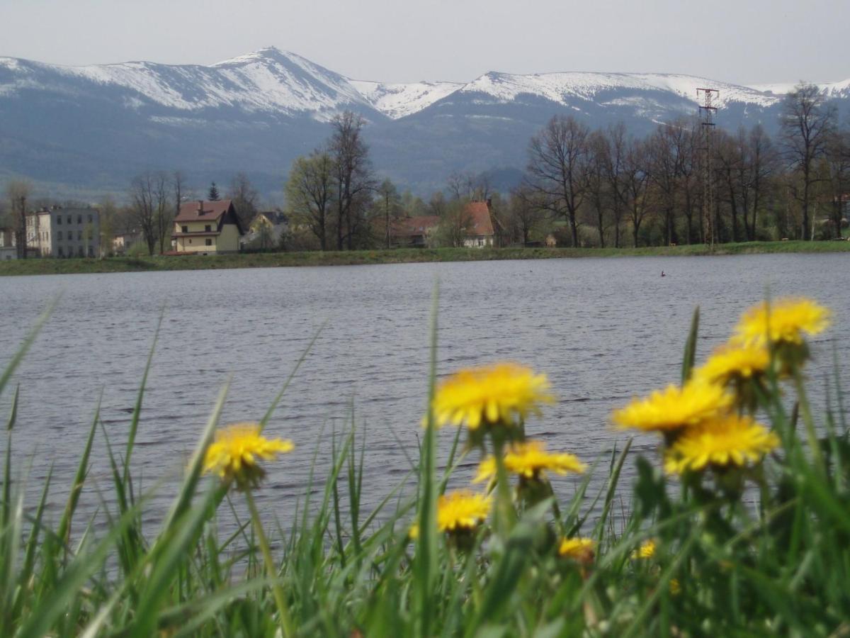 Agroturystyka Aura Kostrzyca Exteriér fotografie
