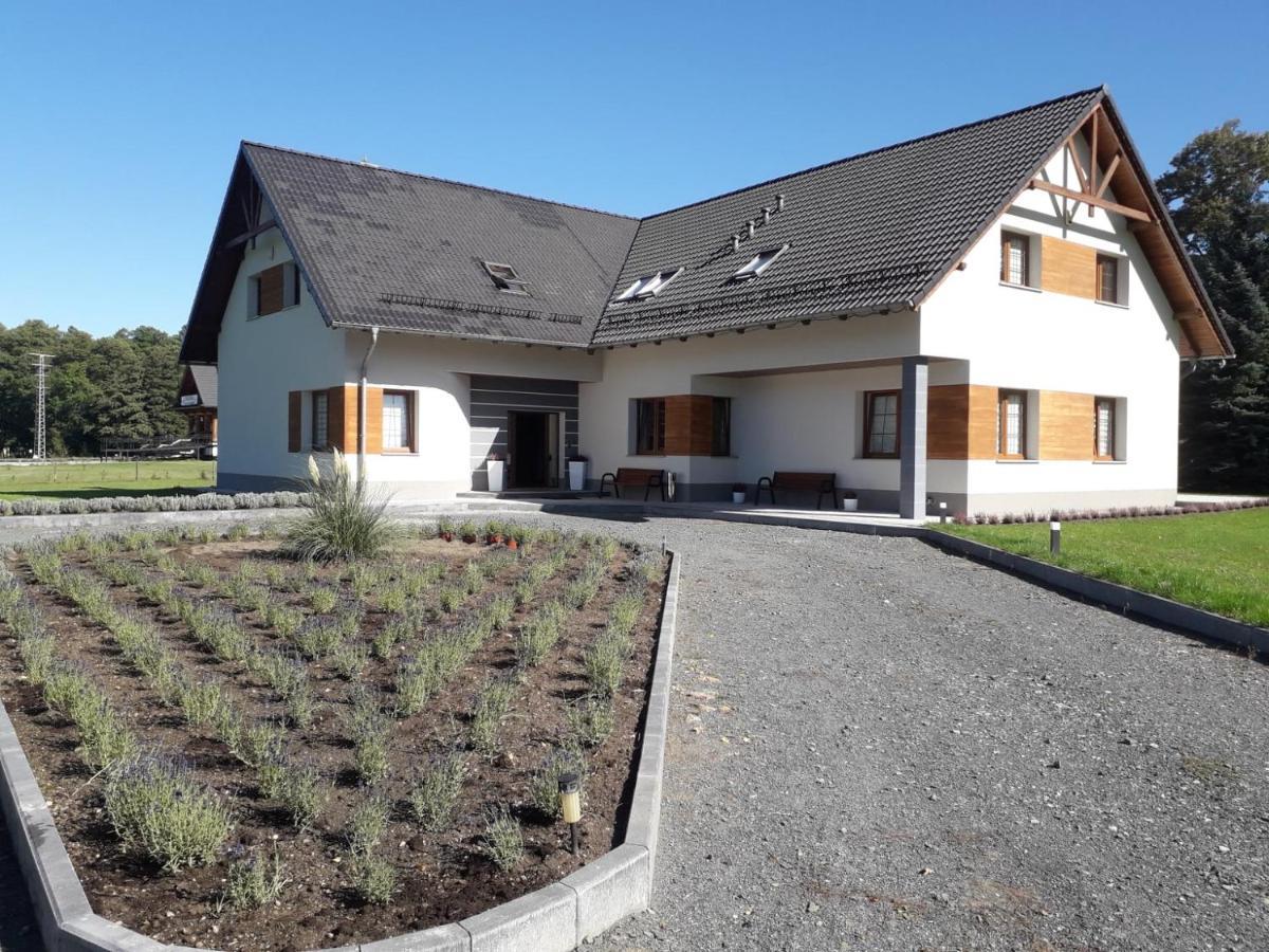 Agroturystyka Aura Kostrzyca Exteriér fotografie