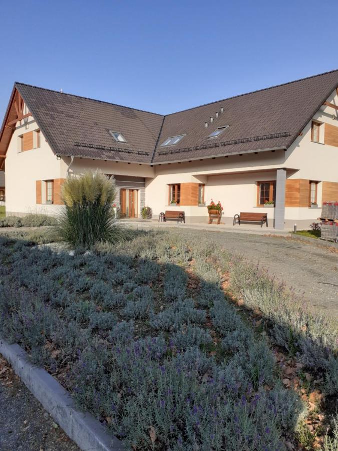 Agroturystyka Aura Kostrzyca Exteriér fotografie