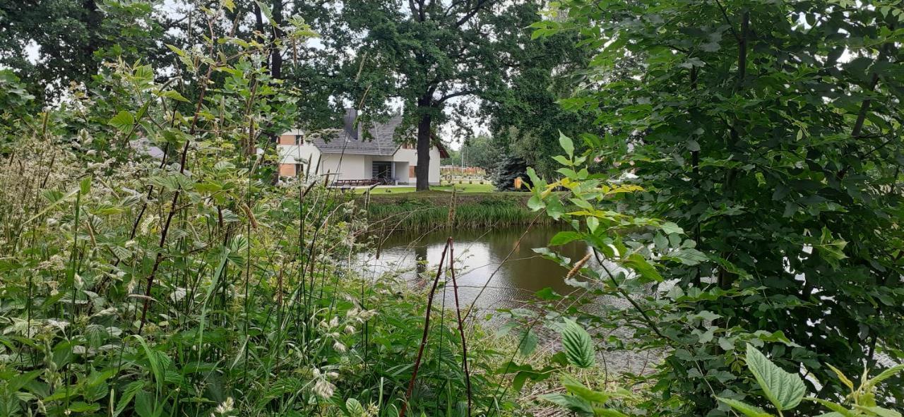 Agroturystyka Aura Kostrzyca Exteriér fotografie