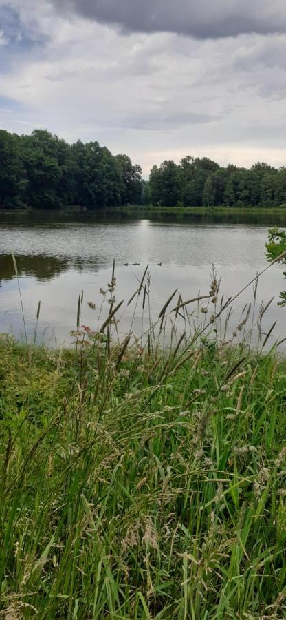 Agroturystyka Aura Kostrzyca Exteriér fotografie