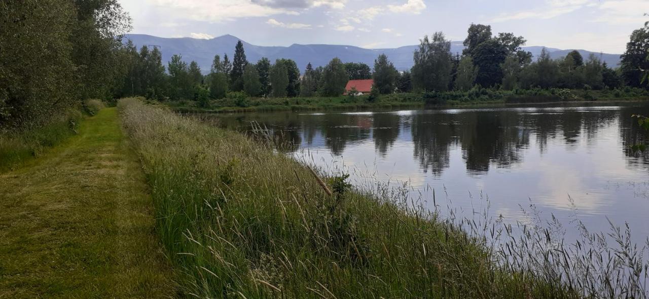Agroturystyka Aura Kostrzyca Exteriér fotografie