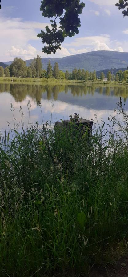Agroturystyka Aura Kostrzyca Exteriér fotografie