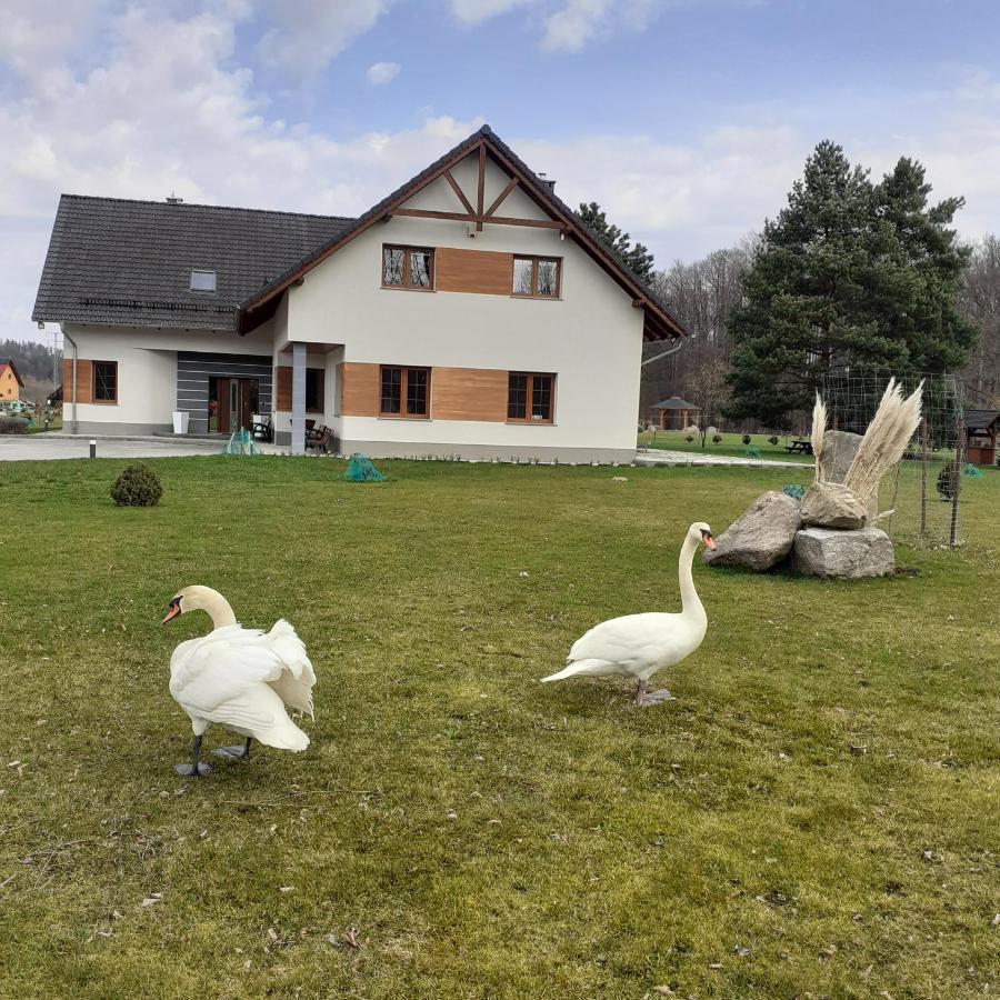 Agroturystyka Aura Kostrzyca Exteriér fotografie