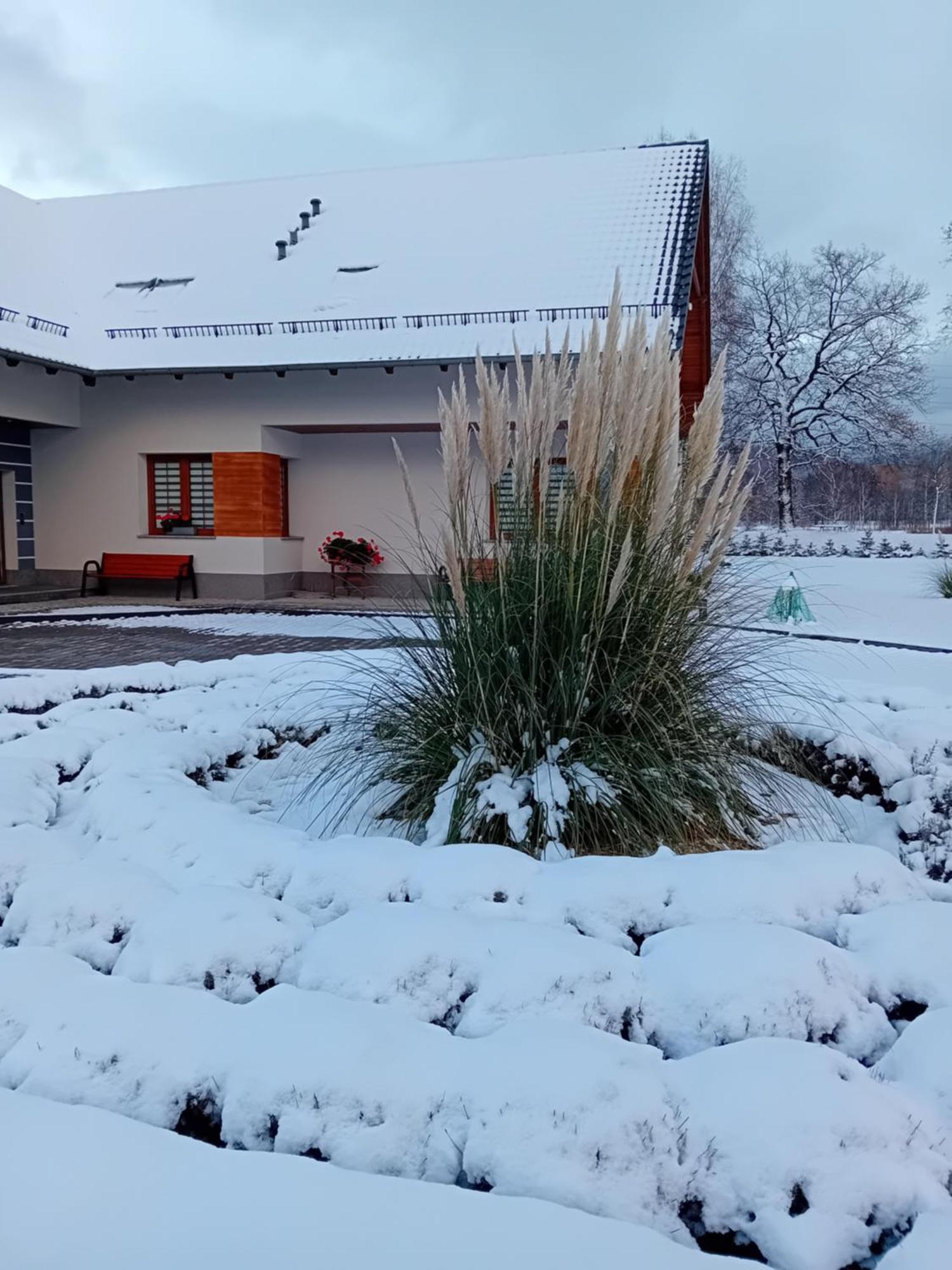 Agroturystyka Aura Kostrzyca Exteriér fotografie