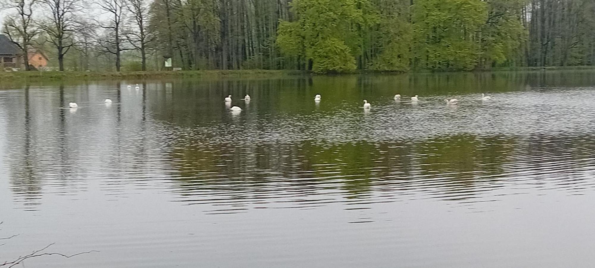 Agroturystyka Aura Kostrzyca Exteriér fotografie